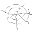 emblema of spider silk